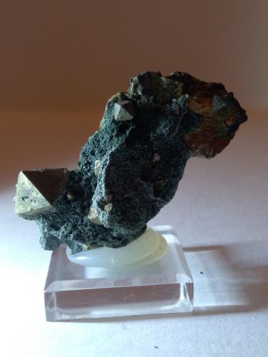 Pirita, Chlorita (Grupo)<br />Brosso Mine, Cálea, Léssolo, Canavese District, Metropolitan City of Turin Province, Piedmont (Piemonte), Italy<br />53 x 40 mm<br /> (Autor: Sante Celiberti)