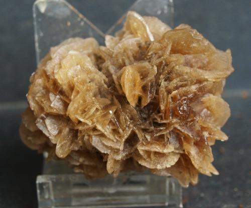 Yeso<br />Fortuna, Comarca Oriental, Region of Murcia (Murcia), Spain<br />6 x 4.5 cm<br /> (Autor: Pedro Antonio)