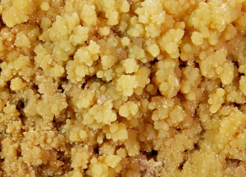 Mimetite<br />San Pedro Corralitos, Municipio Casas Grandes, Chihuahua, México<br />12.2 x 8.1 cm<br /> (Author: Michael Shaw)