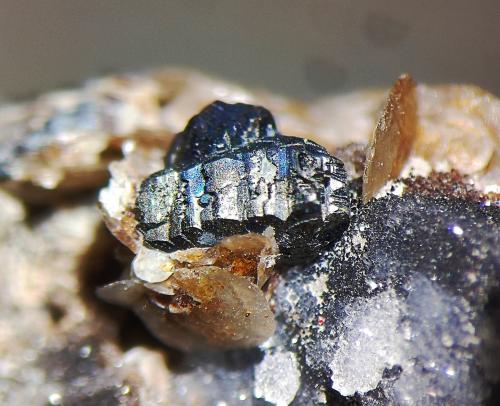 Bournonita, Siderita<br />Minas El Español, Chillón, Comarca Monte Sur (Almadén), Ciudad Real, Castilla-La Mancha, España<br />C.d.v. 4,0 x 2,0 mm.<br /> (Autor: carles)