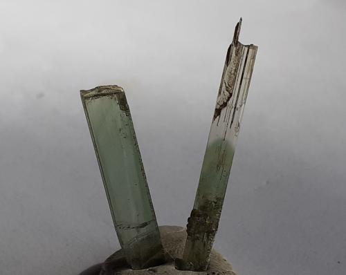 Diopside<br />Diopside rift (Schwarzenstein), Ochsner-Rotkopf Massif, Zemmgrund, Ziller Valley (Zillertal), North Tyrol, Tyrol/Tirol, Austria<br />2,5 and 3,5 cm<br /> (Author: Volkmar Stingl)
