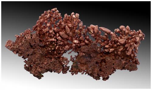 Copper<br />Rocklands Mine, Cloncurry, Cloncurry Shire, Queensland, Australia<br />15 cm x 7 cm x 3 cm<br /> (Author: silvia)