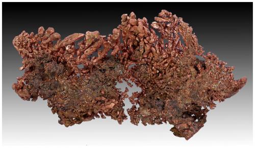 Copper<br />Rocklands Mine, Cloncurry, Cloncurry Shire, Queensland, Australia<br />15 cm x 7 cm x 3 cm<br /> (Author: silvia)