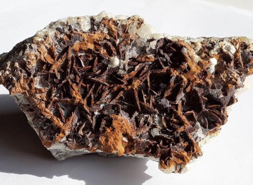 Siderite, Quartz<br />Kohlwald, Flirsch, Distrito Landeck, Tirol Norte, Tirol, Austria<br />9 x 6 cm<br /> (Author: Volkmar Stingl)
