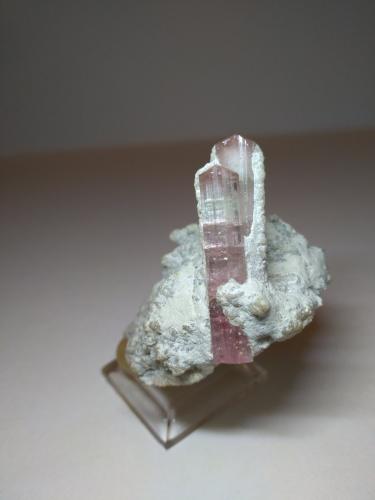 Tourmaline<br />Stak Nala, Montes Haramosh, Distrito Skardu, Gilgit-Baltistan (Áreas del Norte), Paquistán<br />55 x 46 mm<br /> (Author: Sante Celiberti)