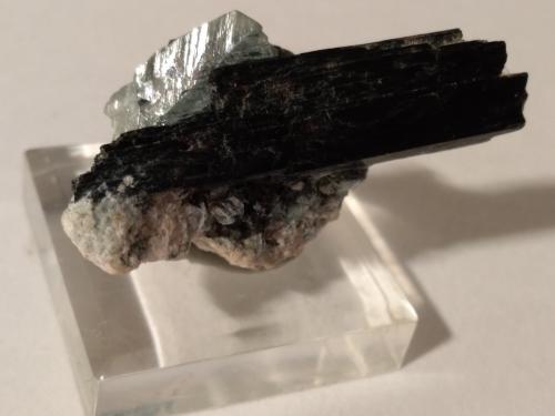 Titanite, Ferro-actinolite<br />Shigar Valley, Shigar District, Gilgit-Baltistan (Northern Areas), Pakistan<br />40 x 22 mm<br /> (Author: Sante Celiberti)