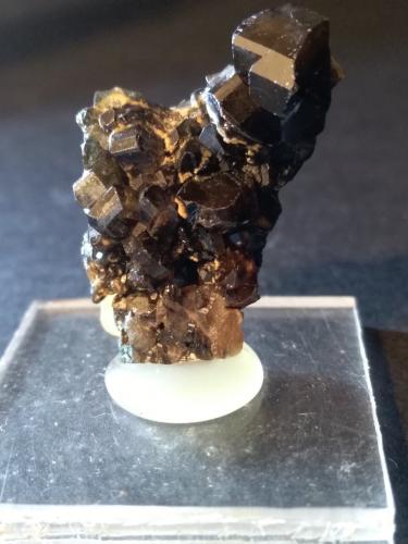 Cassiterite<br />Minas da Panasqueira, Aldeia de São Francisco de Assis, Covilhã, Castelo Branco, Cova da Beira, Centro, Portugal<br />30 x 20 mm<br /> (Author: Sante Celiberti)