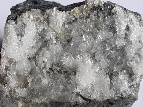 Quartz, Galena<br />Tunnel bypass Landeck, Landeck, Landeck District, North Tyrol, Tyrol/Tirol, Austria<br />2,5 x 2,5 cm<br /> (Author: Volkmar Stingl)