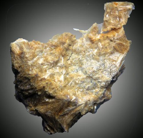Carpholita<br />Krásno, Distrito Sokolov, Región Karlovy Vary, Bohemia, República Checa<br />20 x 18 x 9 mm<br /> (Autor: José Luis Zamora)