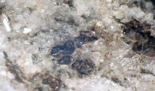 Cafarsita<br />Monte Cervandone, Alpe Devero, Baceno, Valle Ossola, Provincia Verbano-Cusio-Ossola, Piamonte (Piemonte), Italia<br />1 mm<br /> (Autor: José Luis Zamora)