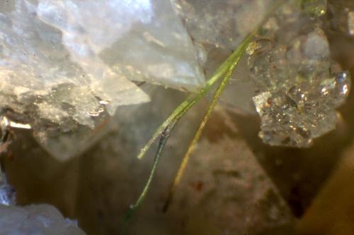 Jamborita<br />Ca' dei Ladri (Silla), Gaggio Montano, Provincia Bologna, Emilia-Romagna, Italia<br />> 1 mm<br /> (Autor: José Luis Zamora)