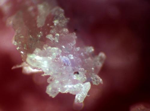 Inesita<br />Monte Nero, Colinas Livorno, Provincia Livorno, Toscana, Italia<br />< 1 mm<br /> (Autor: José Luis Zamora)