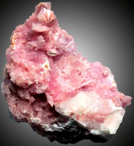 Inesita<br />Monte Nero, Colinas Livorno, Provincia Livorno, Toscana, Italia<br />20 x 15 x 10 mm<br /> (Autor: José Luis Zamora)