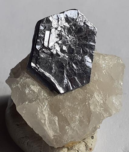 Molybdenite<br />Moly Hill Mine, La Motte, Abitibi RCM, Abitibi-Témiscamingue, Québec, Canada<br />2,5 x 2 cm<br /> (Author: Volkmar Stingl)
