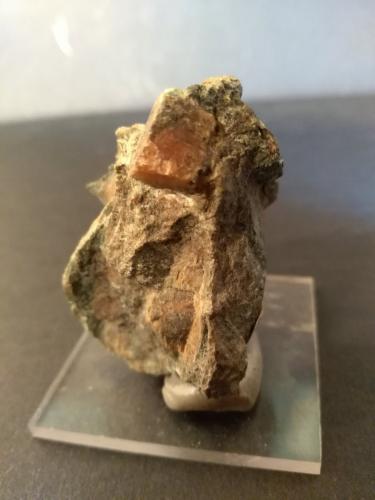Perovskita, Clinochloro<br />Rocca Sella, Almese, Susa Valley, Metropolitan City of Turin Province, Piedmont (Piemonte), Italy<br />53 x 44 mm<br /> (Autor: Sante Celiberti)
