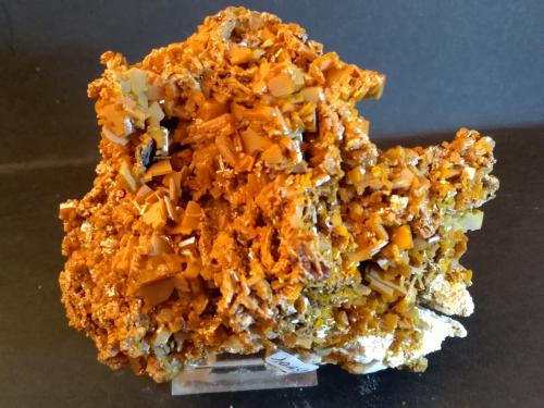 Wulfenite<br />Los Lamentos Mountain Range, Municipio Ahumada, Chihuahua, Mexico<br />11 x 9,5 cm<br /> (Author: Sante Celiberti)