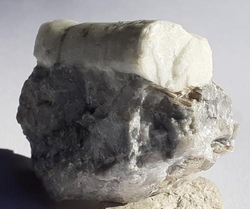 Beryl<br />Masul gorge (Masulschlucht), Merano (Meran), Autonomous Province South Tyrol, Trentino-Alto Adige (Trentino-Südtirol), Italy<br />3 x 2,5 cm<br /> (Author: Volkmar Stingl)