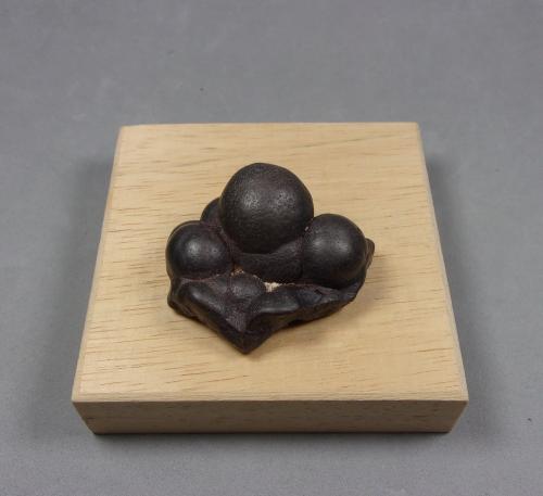 Casiterita (variedad estaño xiloide, wood tin)<br />Santa María del Oro, Municipio Charcas, San Luis Potosí, México<br />3,7 x 3 x 1,8 cm.  46,70 g.<br /> (Autor: J. G. Alcolea)