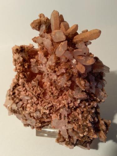 Rhodochrosite, Quartz<br />Mina Boldut, zona minera Cavnic, Cavnic, Maramures, Rumanía<br />11,5 x 10,5 cm<br /> (Author: Sante Celiberti)