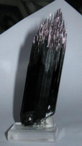 "black comet" schorl photographed with flash, showing the purple needle-like terminations (Author: Tracy)