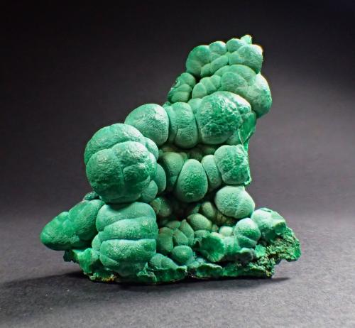 Malachite<br />Copper Queen Mine, Queen Hill, Bisbee, Warren District, Mule Mountains, Cochise County, Arizona, USA<br />87 mm x 70 mm<br /> (Author: Don Lum)