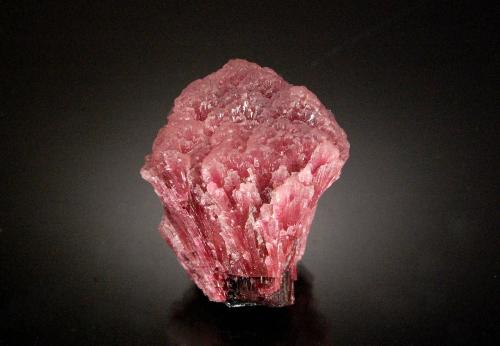 Elbaite var. rubellite<br />Beni Bouzra (Bni Bouzra), Chefchaouen Province, Tanger-Tetouan-Al Hoceima Region, Morocco<br />3.4 x 2.7 x 2.1 cm<br /> (Author: Michael Shaw)