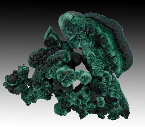 Malachite<br />Mindingi Mine (Mindigi Mine), Swambo, Kambove District, Katanga Copper Crescent, Katanga (Shaba), Democratic Republic of the Congo (Zaire)<br />15 cm x 12 cm x 5 cm<br /> (Author: silvia)