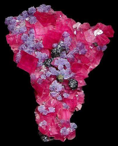 Sweet Home Mine Rhodochrosite with Fluorite (large cabinet) collected by Graham Sutton. Size: 9.5 cm (Author: GneissWare)