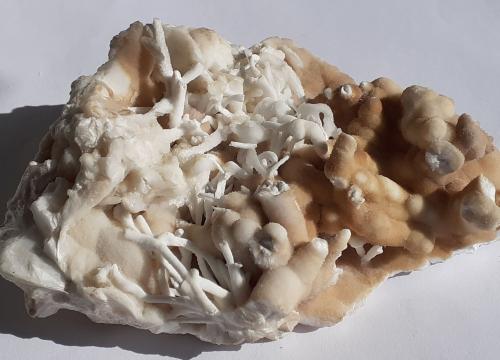 Aragonite (variety flos ferri)<br />Erzberg, Eisenerz (Steiermark), Leoben District, Styria/Steiermark, Austria<br />13 x 9 cm<br /> (Author: Volkmar Stingl)