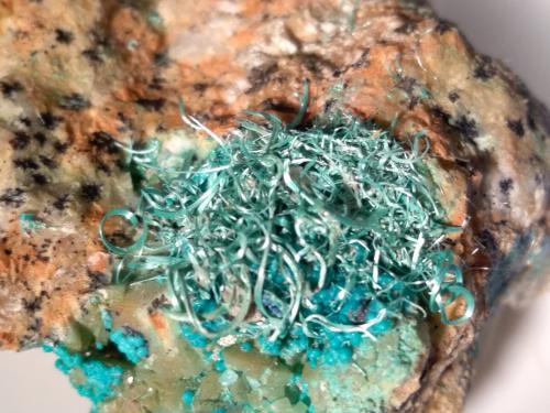 Malachite<br />Mockleiten Mine, Brixlegg, Kufstein District, Inn Valley, North Tyrol, Tyrol/Tirol, Austria<br />44 x 34 mm<br /> (Author: Sante Celiberti)