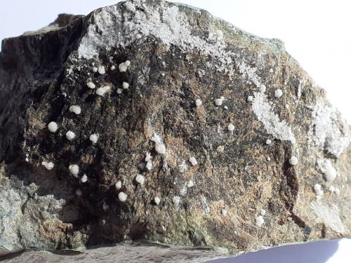 Hydromagnesite<br />Cantera Lobming, Lobminggraben, St Stefan ob Leoben, Leoben, Estiria/Steiermark, Austria<br />7 x 4 cm<br /> (Author: Volkmar Stingl)