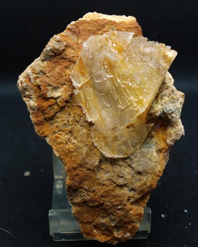 Yeso<br />Las Viudas, La Alcoraya, Alicante/Alacant, Comarca Campo de Alicante, Alicante / Alacant, Valencian Community / Comunitat Valenciana, Spain<br />9.5 x 6 cm<br /> (Autor: Pedro Antonio)
