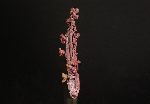 Copper<br />Bou Nahas Mine, Oumjrane mining area, Alnif Commune, Tinghir Province, Drâa-Tafilalet Region, Morocco<br />3.7 x 0.7 cm<br /> (Author: Michael Shaw)