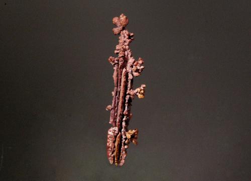 Copper<br />Bou Nahas Mine, Oumjrane mining area, Alnif Commune, Tinghir Province, Drâa-Tafilalet Region, Morocco<br />3.7 x 0.7 cm<br /> (Author: Michael Shaw)