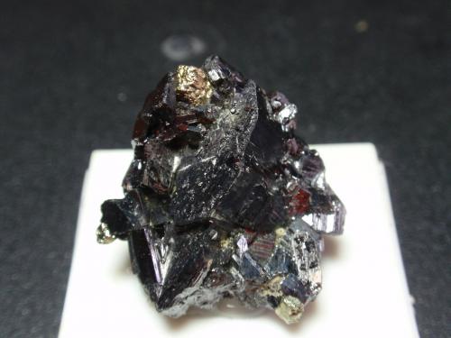 Enargita<br />Cerro de Pasco, Provincia Pasco, Departamento Pasco, Perú<br />25x25 mm<br /> (Autor: Ignacio)