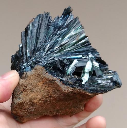 Vivianite<br />Cabeça do Cachorro claim, São Gabriel da Cachoeira, Cabeça do Cachorro area, Amazonas, Brazil<br />11 x 10 x 9 cm<br /> (Author: Anísio Cláudio)