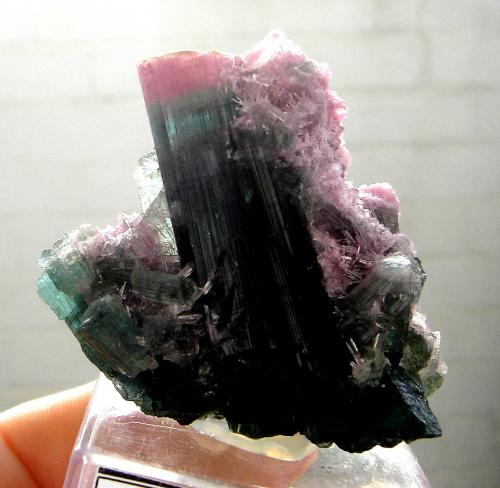 Elbaite<br />Quintos do Meio Mine, Parelhas, Caicó, Rio Grande do Norte, Brazil<br />5 x 4,5 x 3 cm<br /> (Author: Anísio Cláudio)