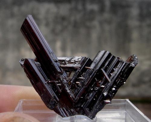 Rutile<br />Diamantina, Vale do Jequitinhonha, Minas Gerais, Brasil<br />4 x 4 x 0,7 cm<br /> (Author: Anísio Cláudio)