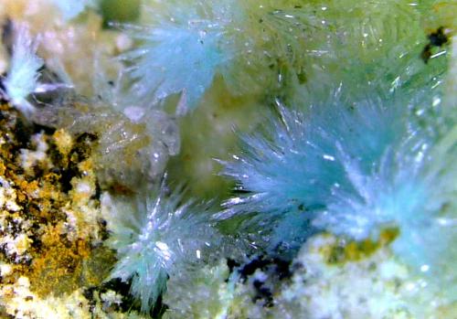 Aurichalcita (Auricalcita), Hemimorfita<br />Mina Nieves, Monte Dobra, Viérnoles, Torrelavega, Comarca Besaya, Cantabria, España<br />Campo de visión 8 mm.<br /> (Autor: Antonio P. López)