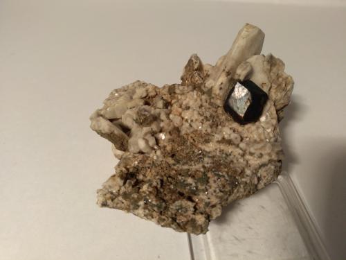 Albita (variedad periclino), Pirita<br />Val Pfunders (Val Fundres), Vintl (Vandoies), Val Pusteria District, Trento Province, Trentino-Alto Adige (Trentino-Südtirol), Italy<br />68 x 63 mm<br /> (Autor: Sante Celiberti)