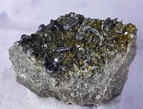 Vesuvianite, Clinochlore<br />Alpe Burgum, Valle Vizze, Provincia Bolzano, Trentino-Alto Adige (Trentino-Südtirol), Italia<br />1,5 x 1 cm<br /> (Author: Volkmar Stingl)