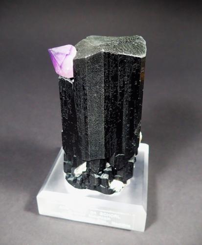 Schorl (Tourmaline Group), Quartz (variety amethyst)<br />Erongo Mountain, Usakos, Erongo Region, Namibia<br />115 mm x 80 mm x 65 mm<br /> (Author: Don Lum)