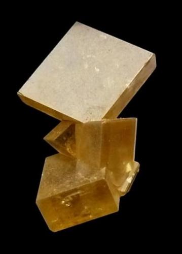 Barite
2,5cm
Chatel-gyuon France (Author: parfaitelumiere)