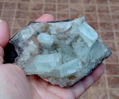 'Apophyllite'<br />Túneles de tren 'Tronco Sul', Veranópolis, Rio Grande do Sul, Brasil<br />12 x 9 x 4 cm<br /> (Author: Anísio Cláudio)