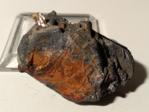 Cerusita sobre Galena<br />Traversella Mine, Traversella, Chiusella Valley, Canavese District, Metropolitan City of Turin Province, Piedmont (Piemonte), Italy<br />38 x 26 mm<br /> (Autor: Sante Celiberti)