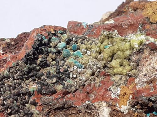 Rosasite, Smithsonite, Goethite, Jarosite<br />Mina Christiana, Minas Kamariza, Agios Konstantinos, Distrito minero Lavrion, Prefectura Attikí (Attica), Grecia<br />4 x 3,5 cm<br /> (Author: Volkmar Stingl)