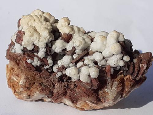 Aragonite, Baryte<br />Paleokamariza Mines, Lavrion Mining District, Attikí (Attica) Prefecture, Greece<br />4,5 x 2,5 cm<br /> (Author: Volkmar Stingl)