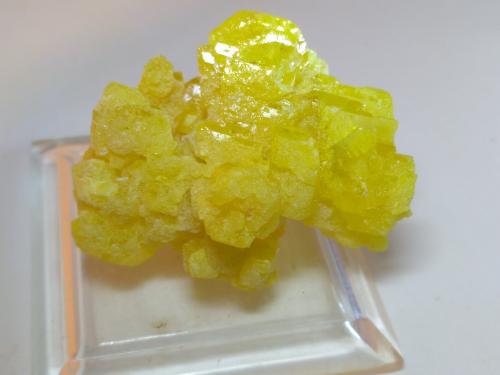 Sulphur<br />Cozzo Disi Mine, Casteltermini, Agrigento (Girgenti) Province, Sicily, Italy<br />38 x 32 mm<br /> (Author: Sante Celiberti)