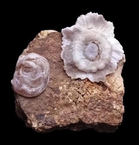 Lussatite on quartz and calcedony
self collected
5cm,
Dallet in Puy-de Dôme,
Auvergne
France (Author: parfaitelumiere)