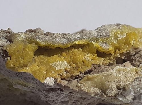 Smithsonite (variety cadmian smithsonite)<br />Feigenstein Mine, Wannig Mountain, Nassereith, Imst District, North Tyrol, Tyrol/Tirol, Austria<br />3 x 1,5 cm<br /> (Author: Volkmar Stingl)